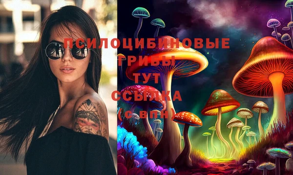 бошки Нефтегорск