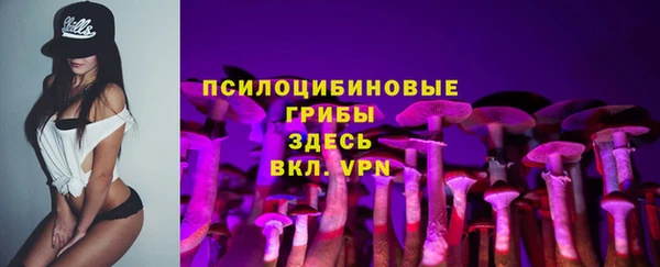 мдпв Нея