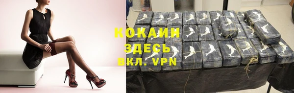спиды Нефтекумск