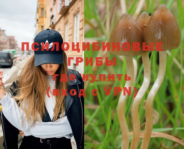 бошки Нефтегорск