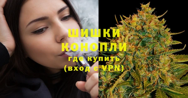 спиды Нефтекумск