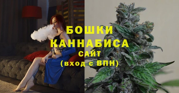 мдпв Нея