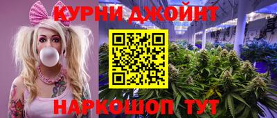 мдпв Гатчина