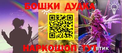 гидра Беслан