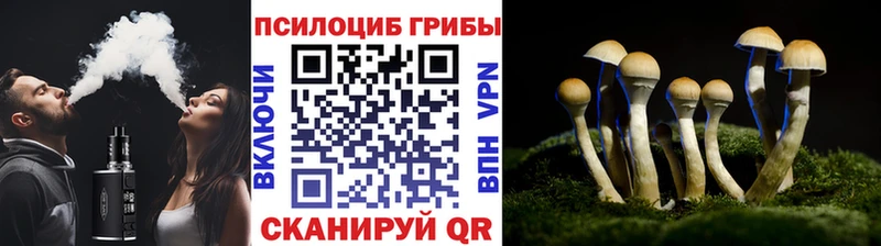 Псилоцибиновые грибы мухоморы  Бугуруслан 