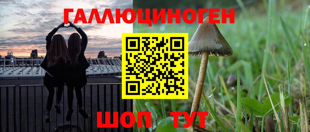 Бугуруслан  Галлюциногенные грибы Cubensis  где продают   Вход с VPN 