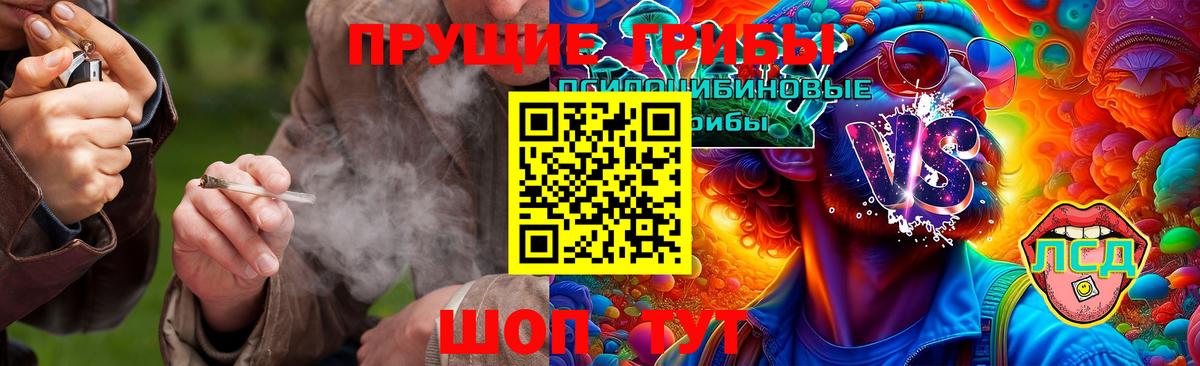 Галлюциногенные грибы мухоморы Бугуруслан