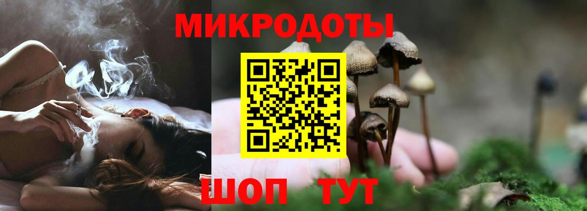 Галлюциногенные грибы Psilocybe Бугуруслан